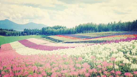 同花顺炒股软件使用教程，同花顺炒股操作流程