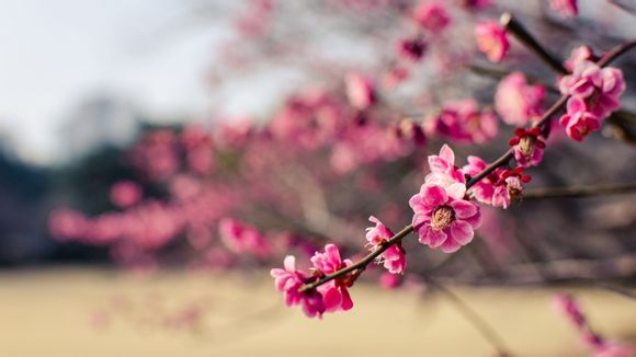 地下城男街霸技能加点最新